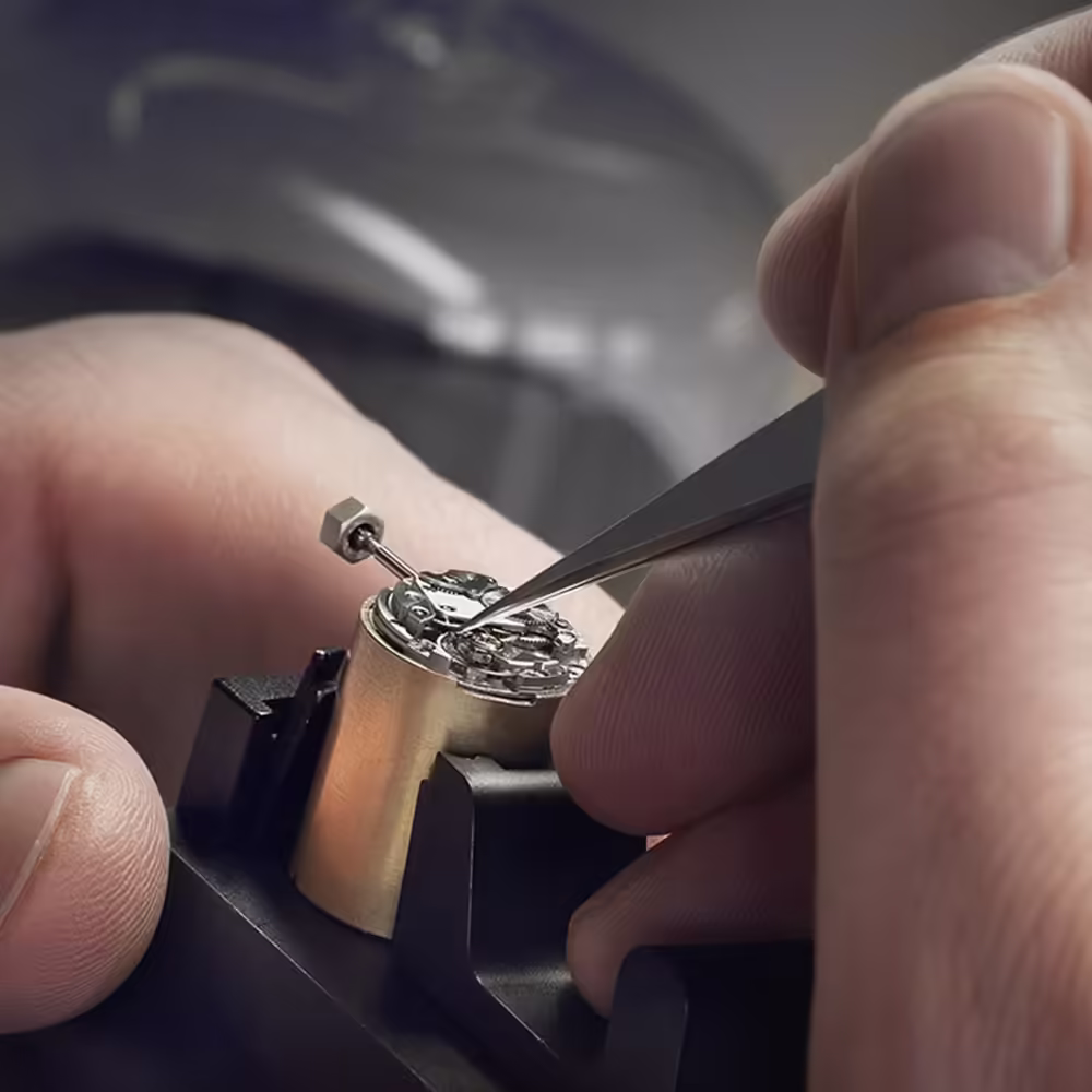 Warranty Terms